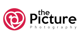 The Picture Photography